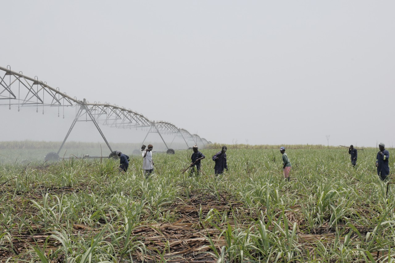 Investmentfonds AATIF betreibt Landgrabbing